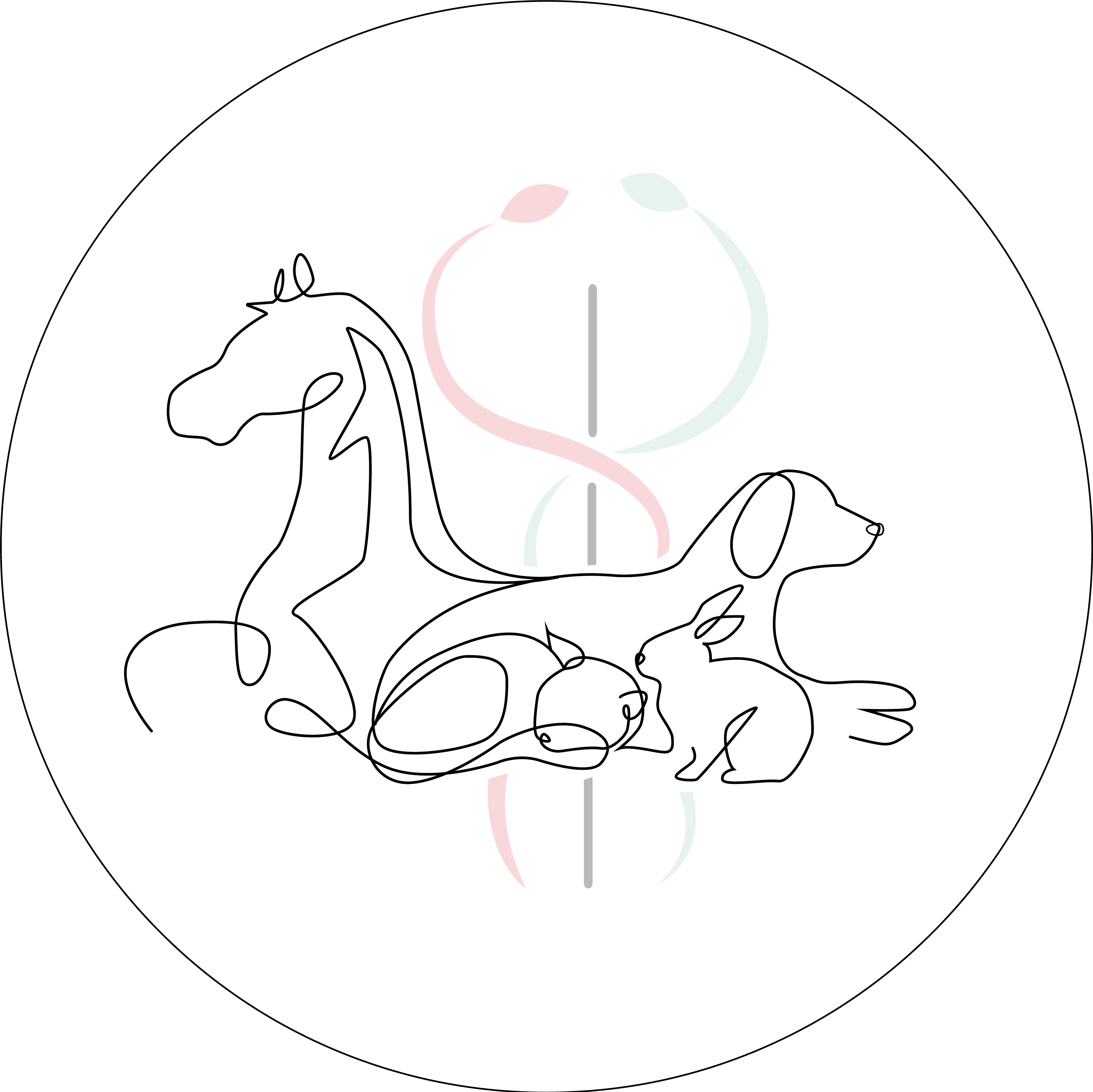 Ostéopathie Animale Lyon